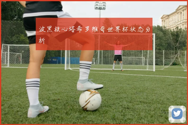 波黑核心塔希罗维奇世界杯状态分析