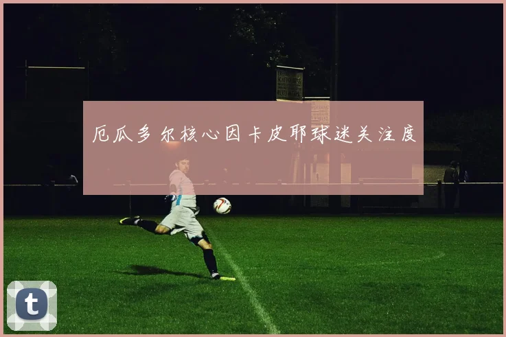 厄瓜多尔核心因卡皮耶球迷关注度