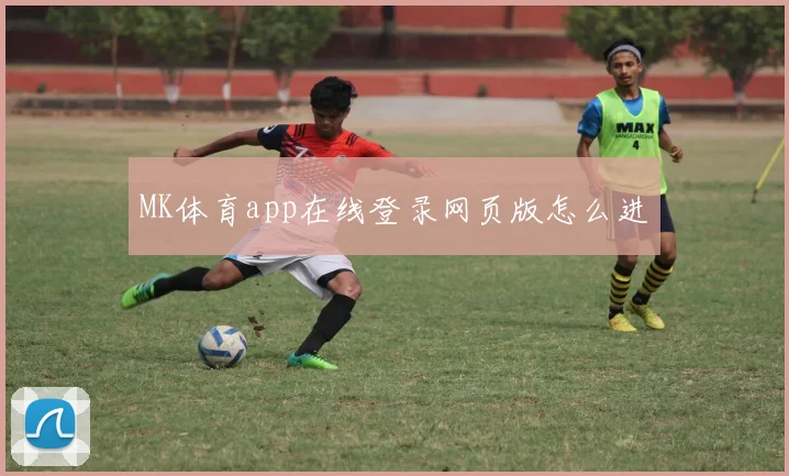 MK体育app在线登录网页版怎么进